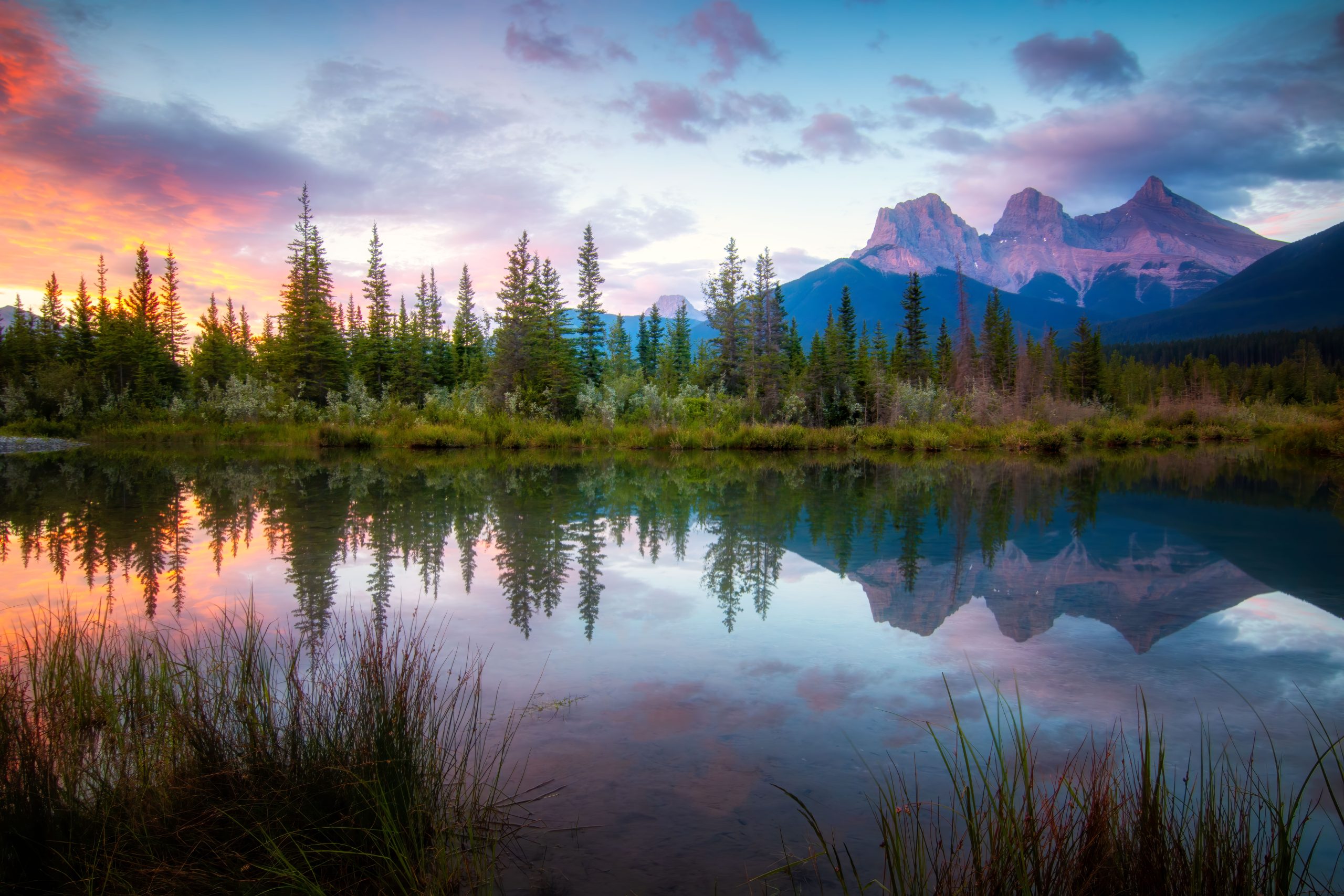 AdobeStock_1600174684 (1)